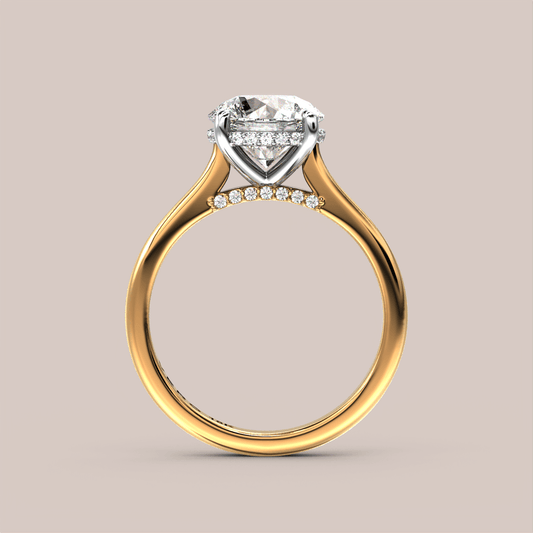 Cathedral Hidden Halo with Bridge Diamonds - Vero Diamonds