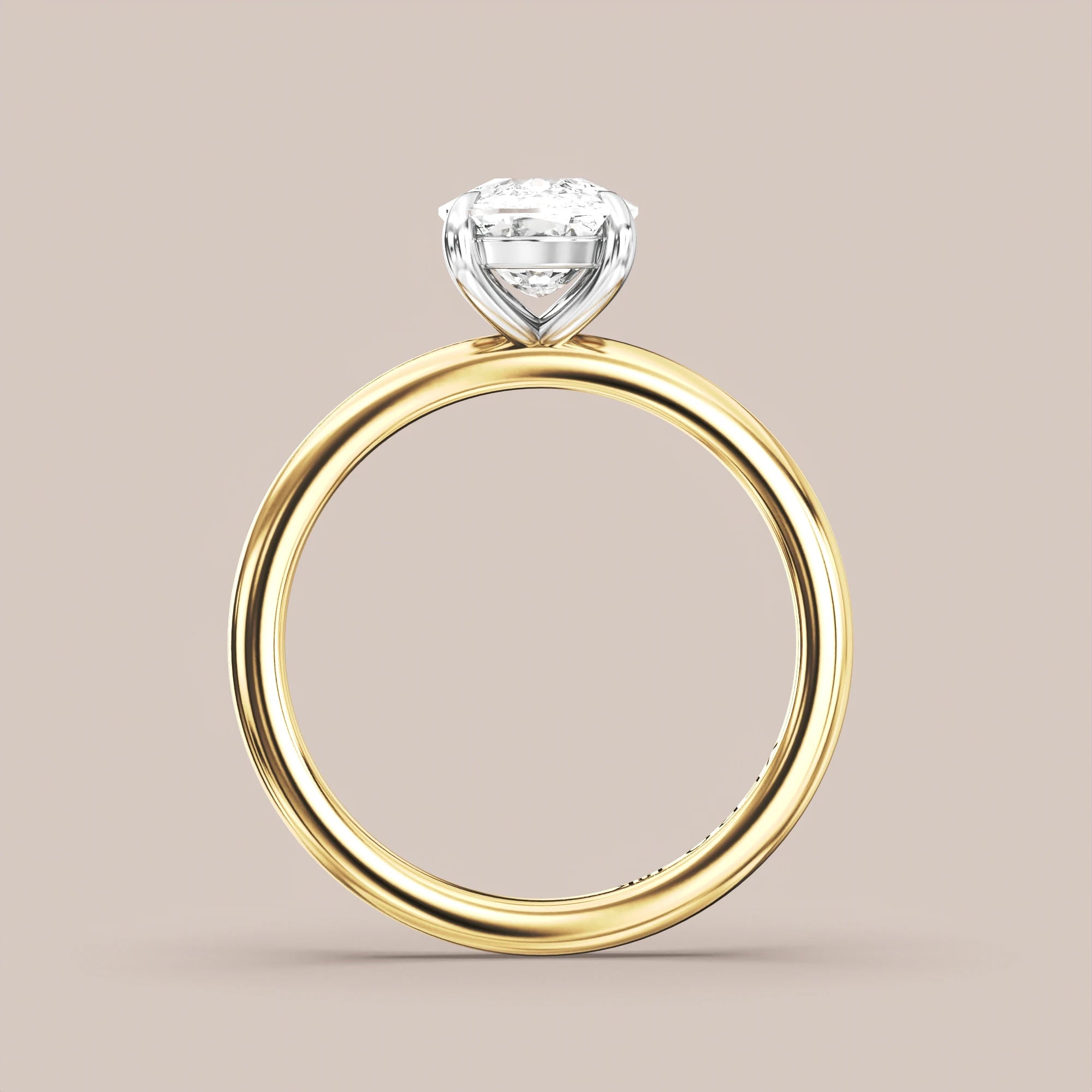 Elongated - Two tone