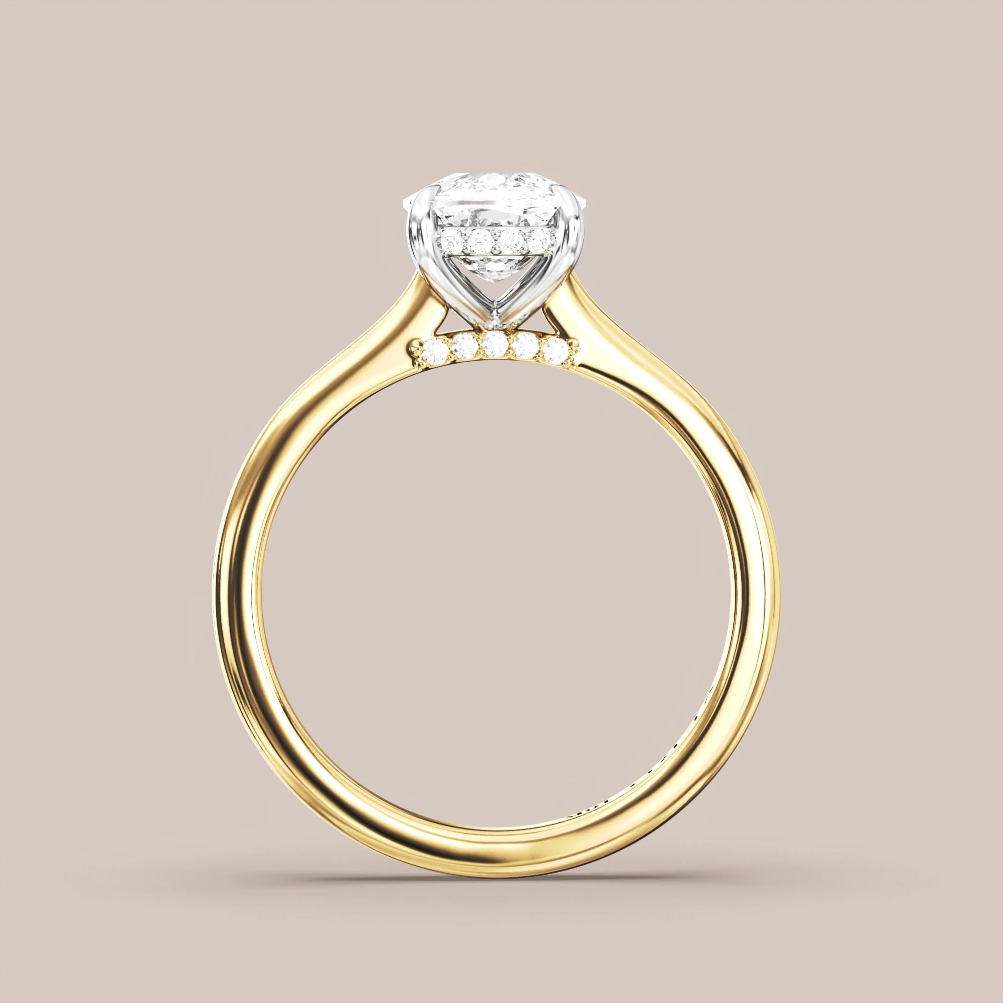 Elongated - Two tone