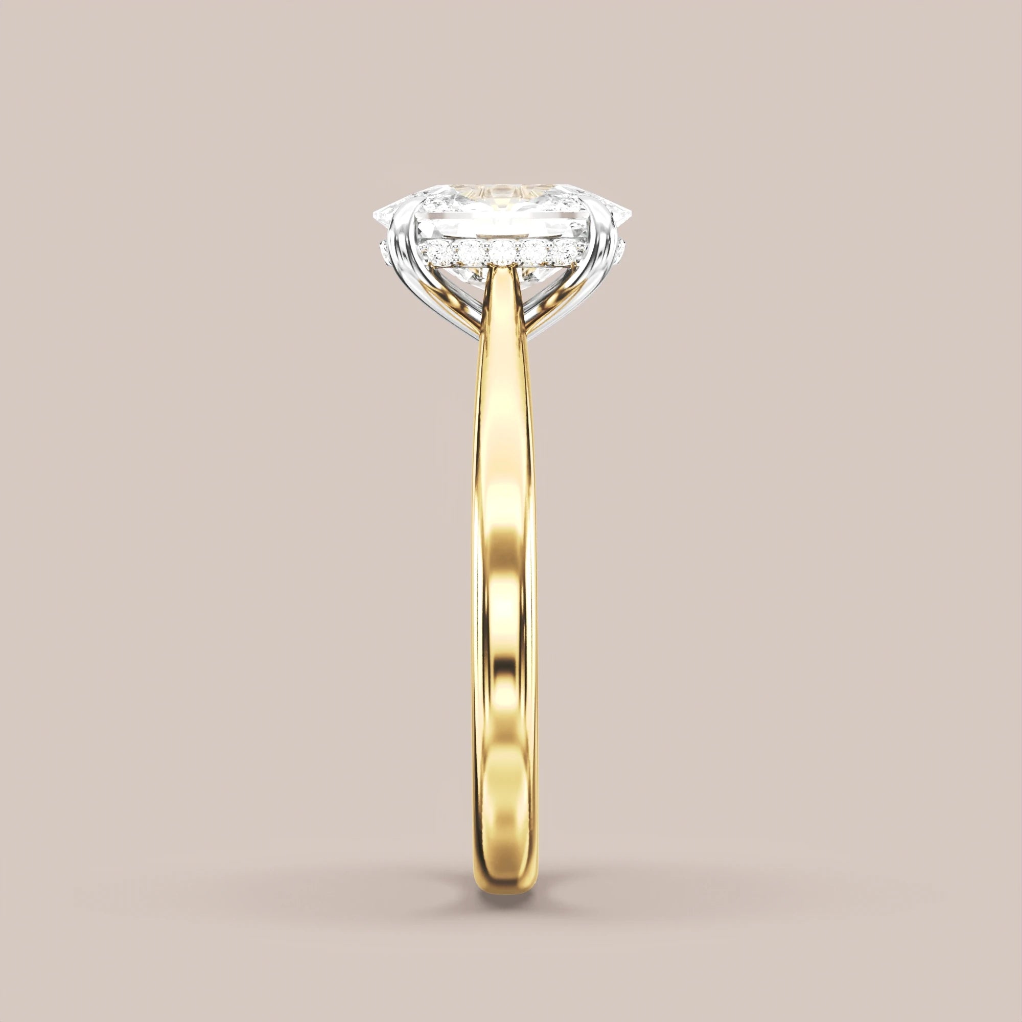 Elongated - Two tone