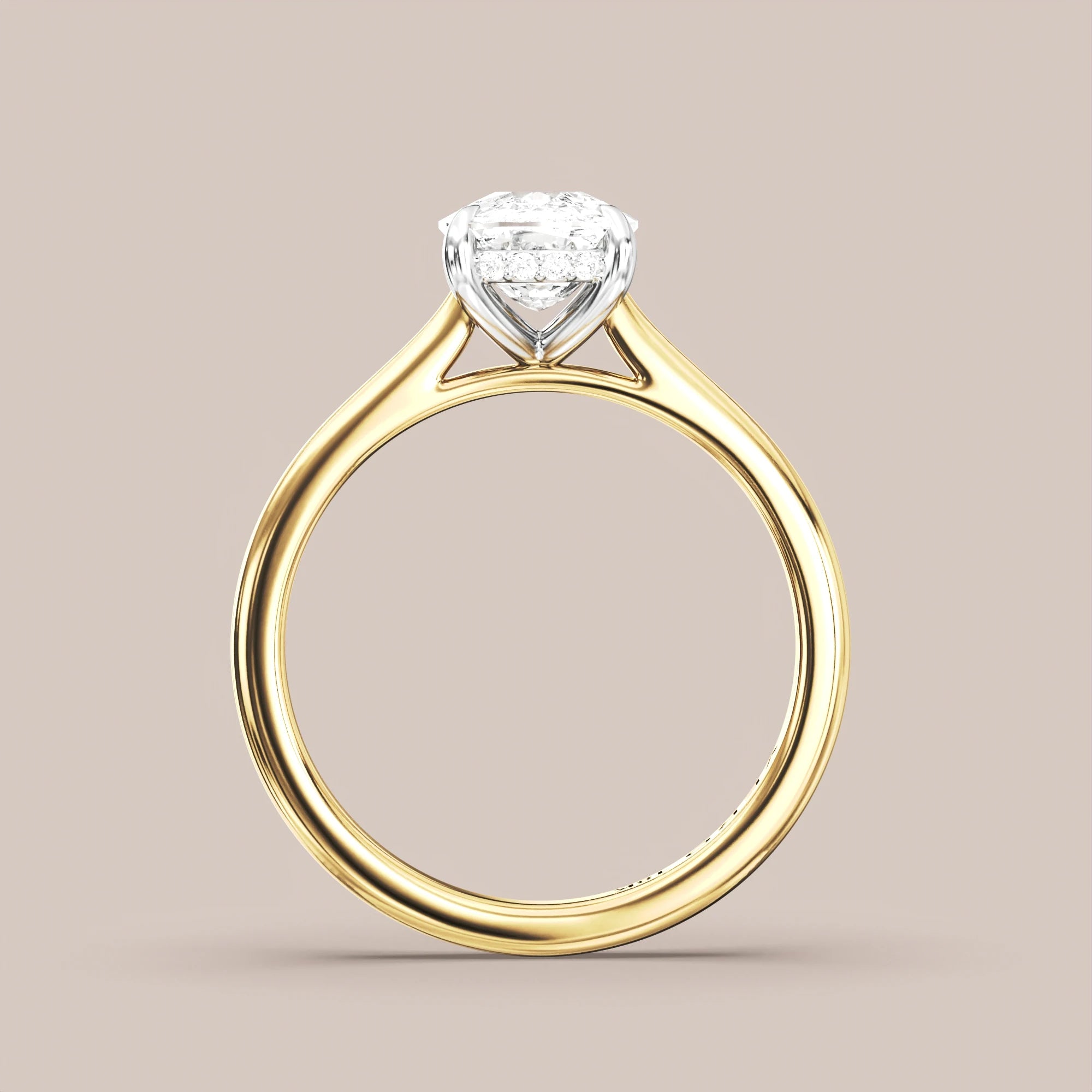 Elongated - Two tone