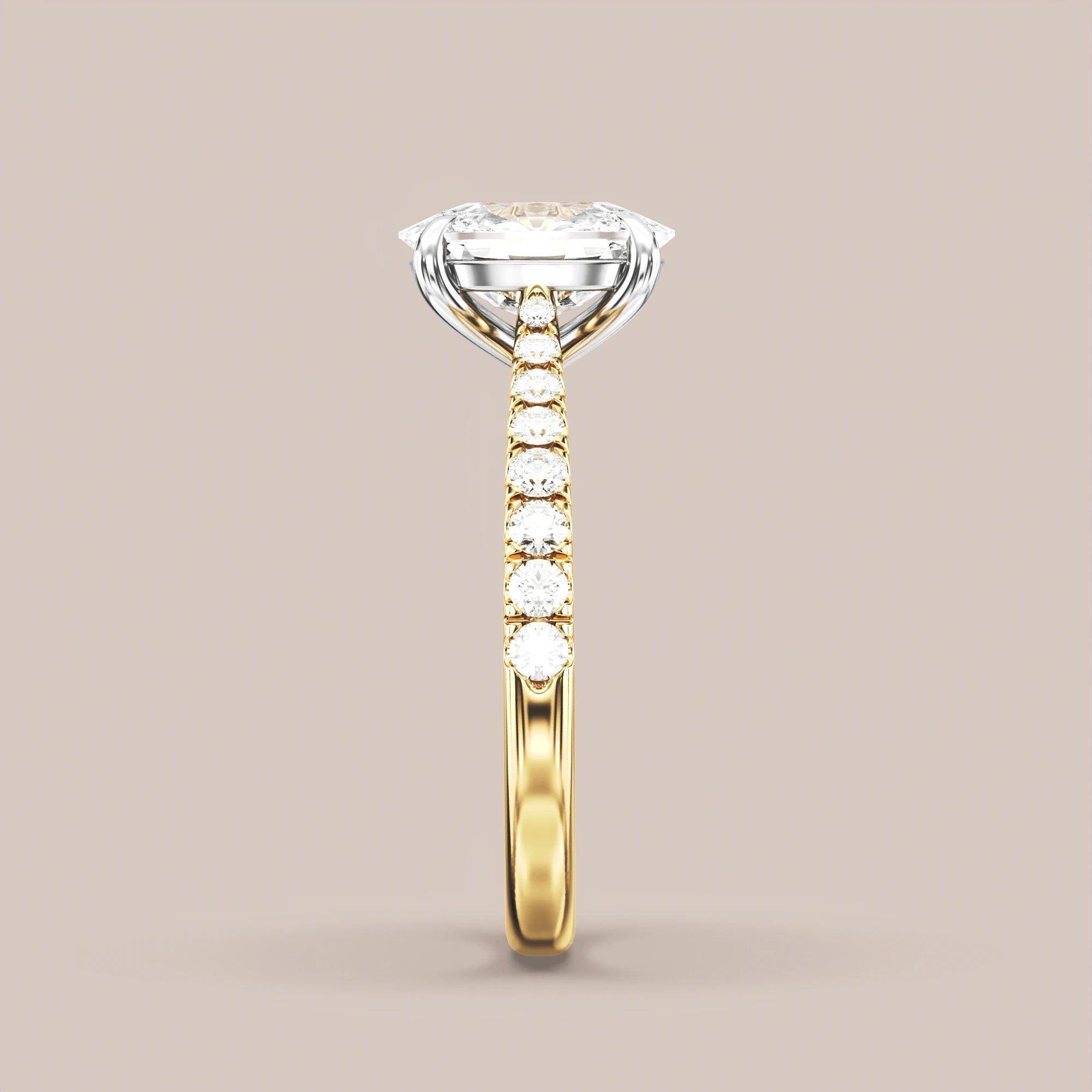 Elongated - Two tone