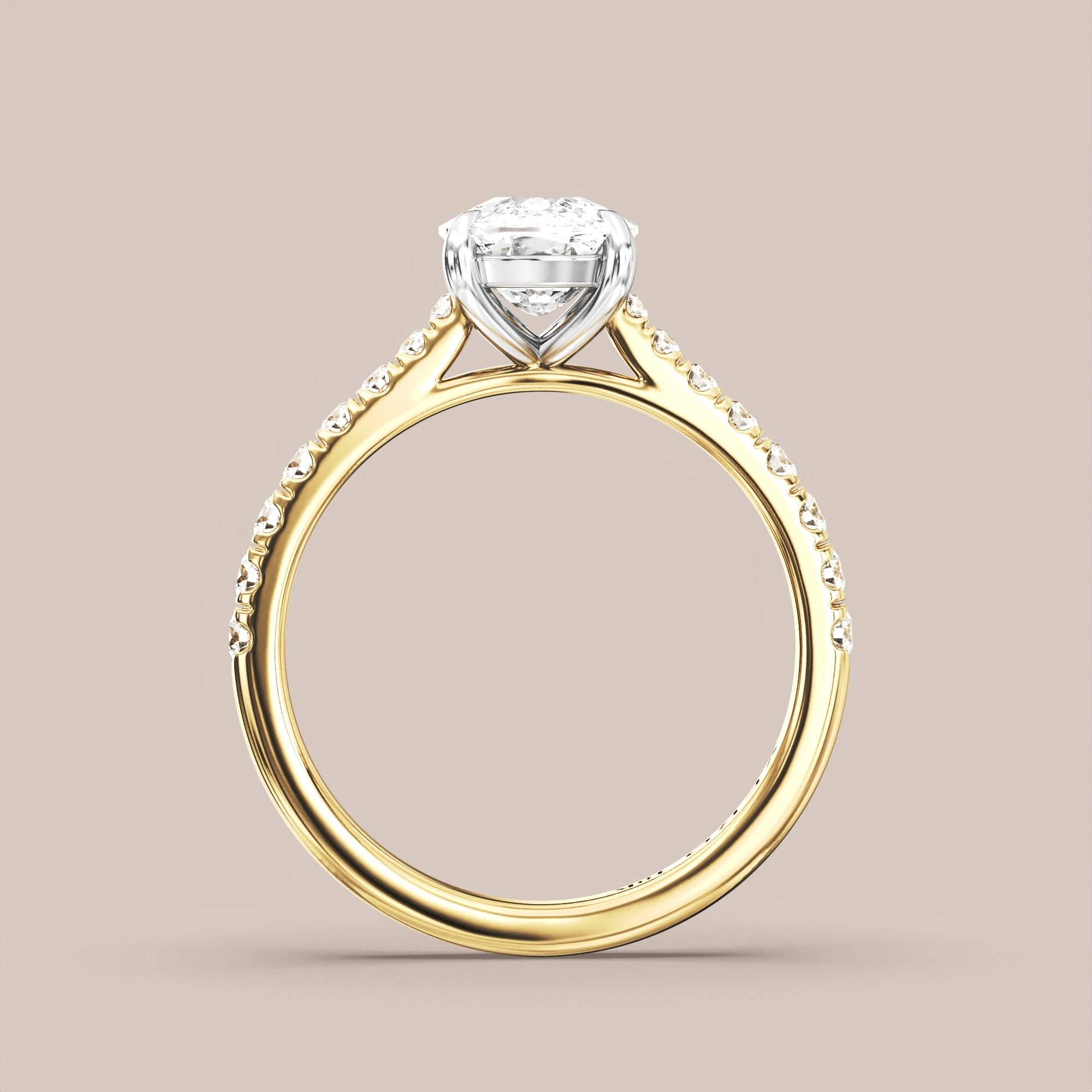 Elongated - Two tone