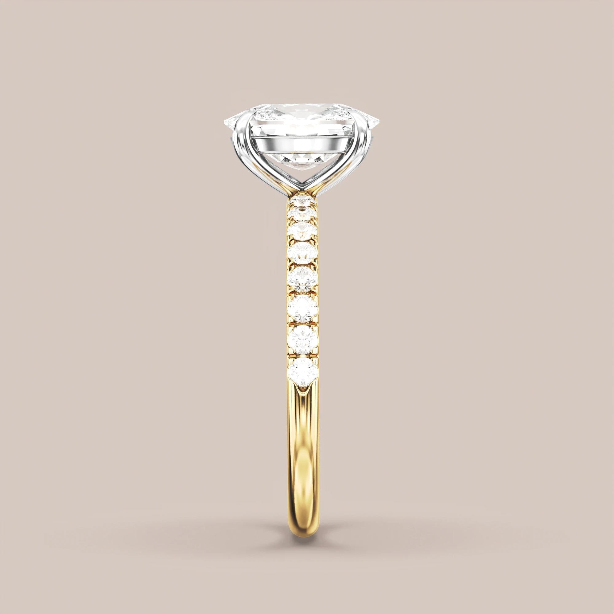 Elongated - Two tone