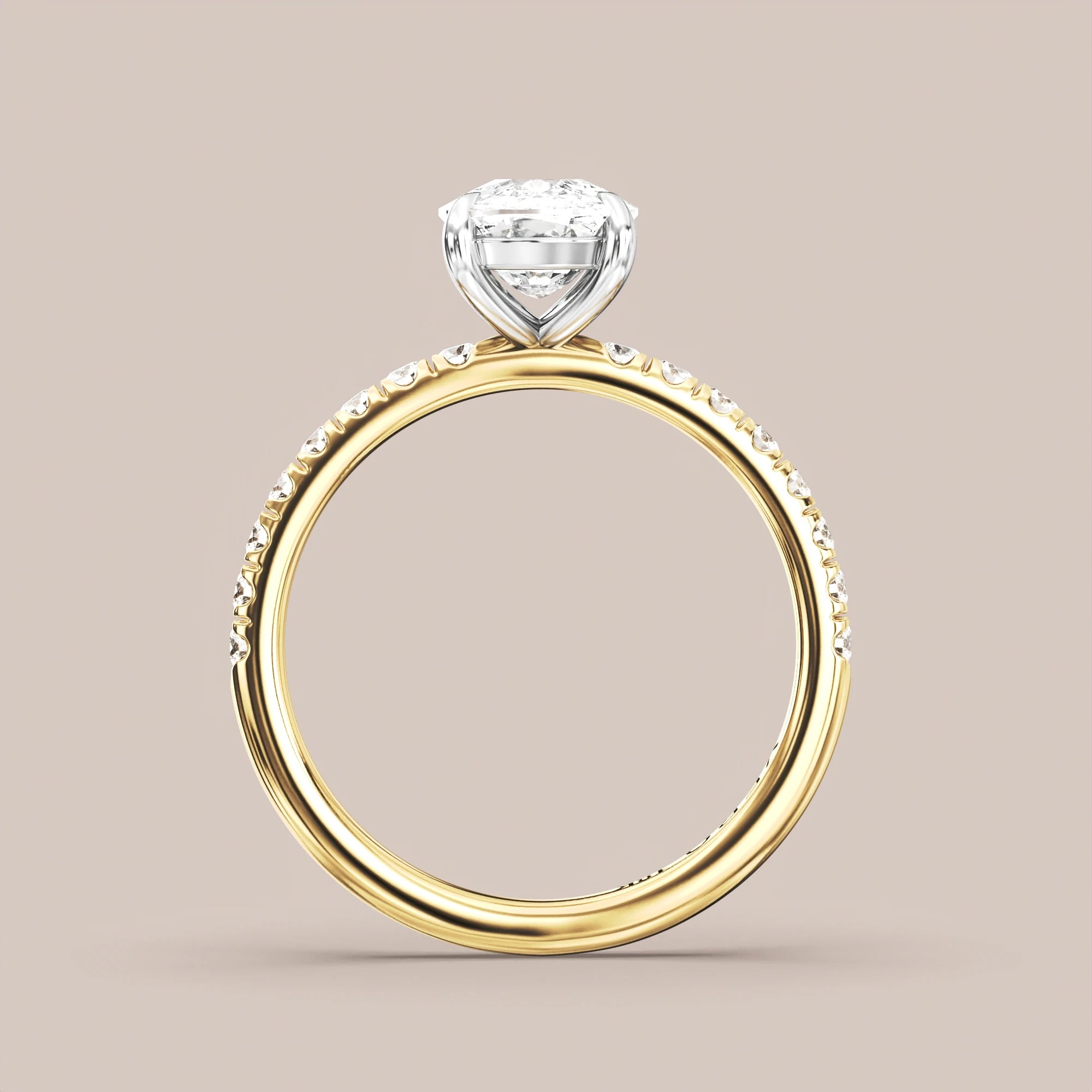 Elongated - Two tone