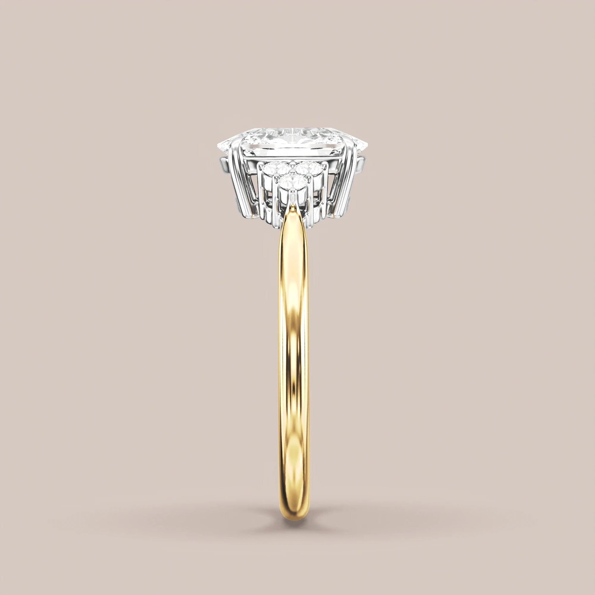 Elongated - Two tone