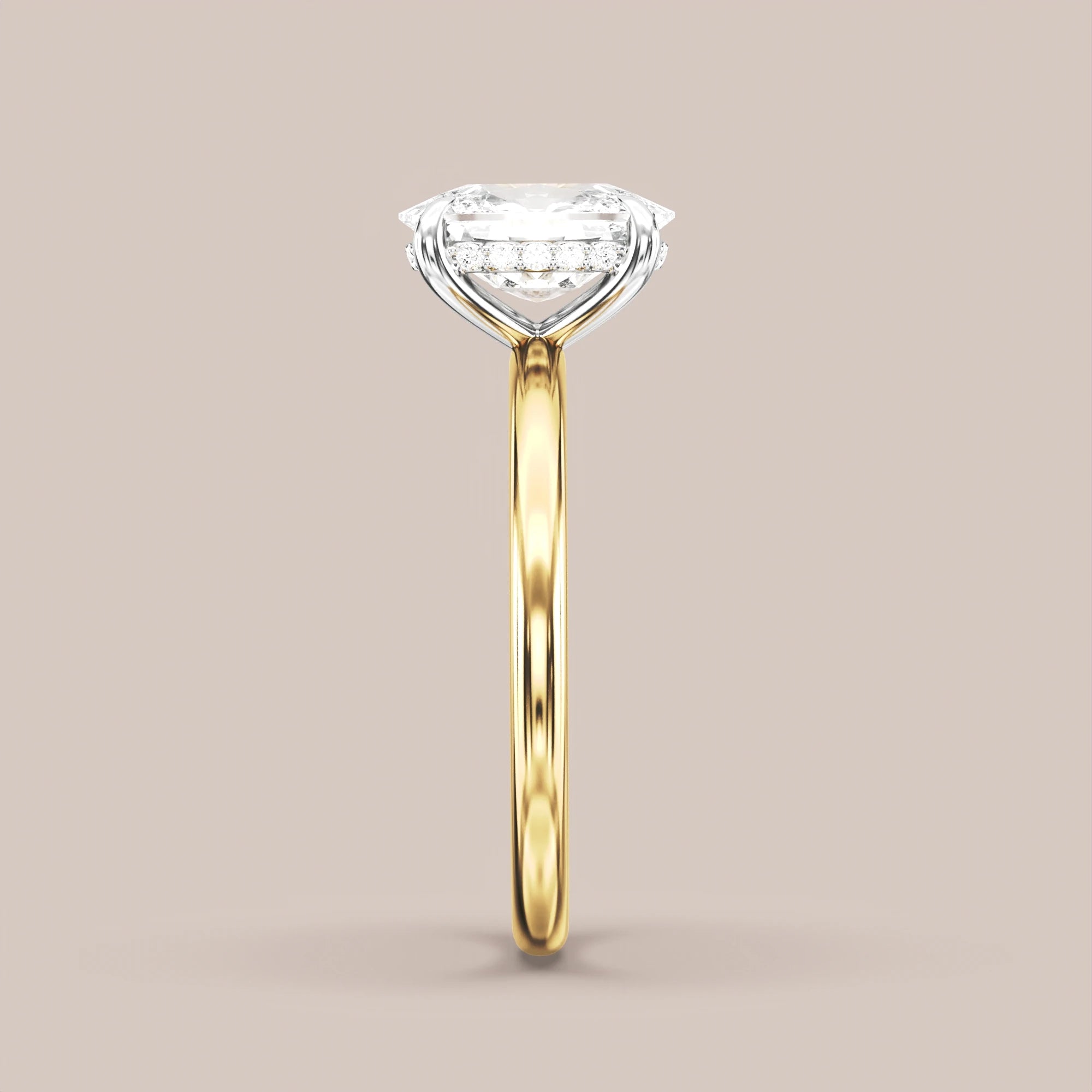 Elongated - Two tone