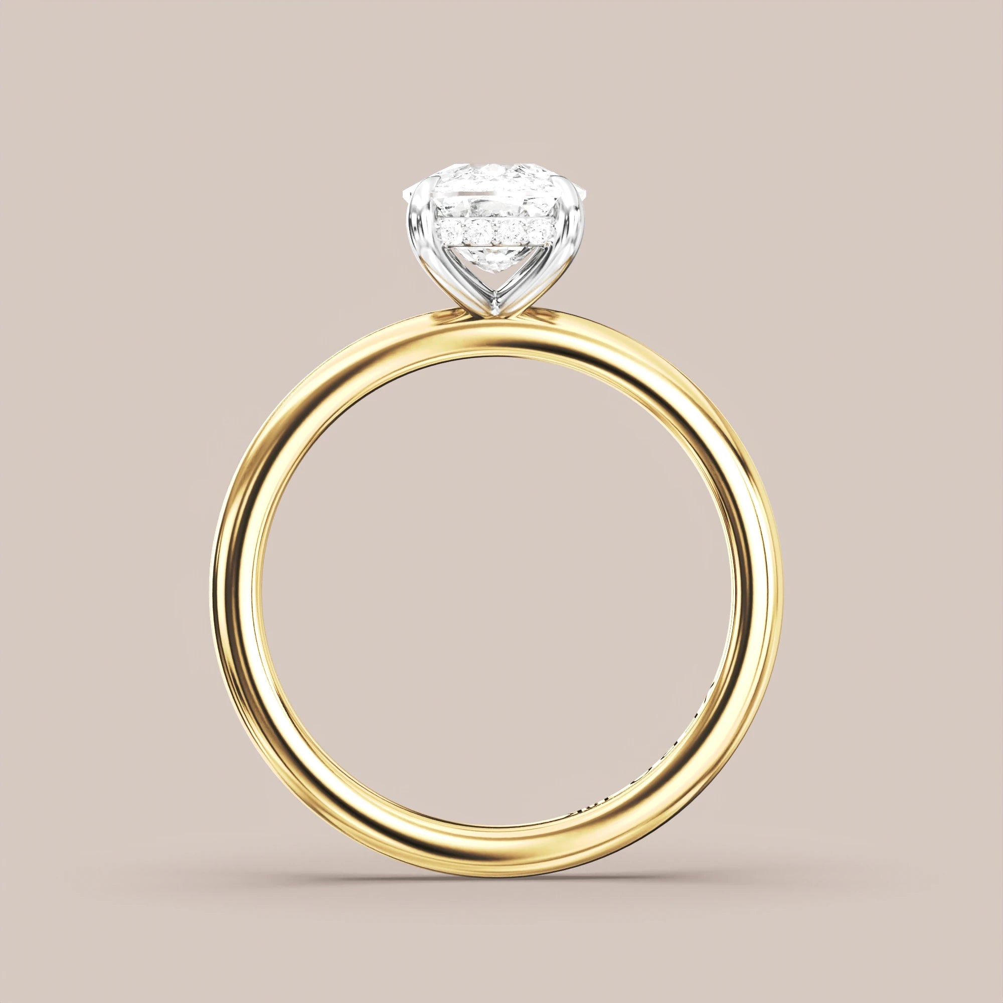 Elongated - Two tone