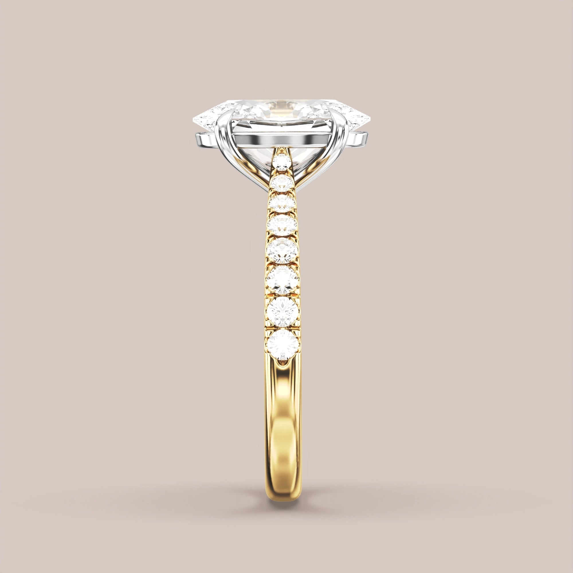 Oval - Two tone