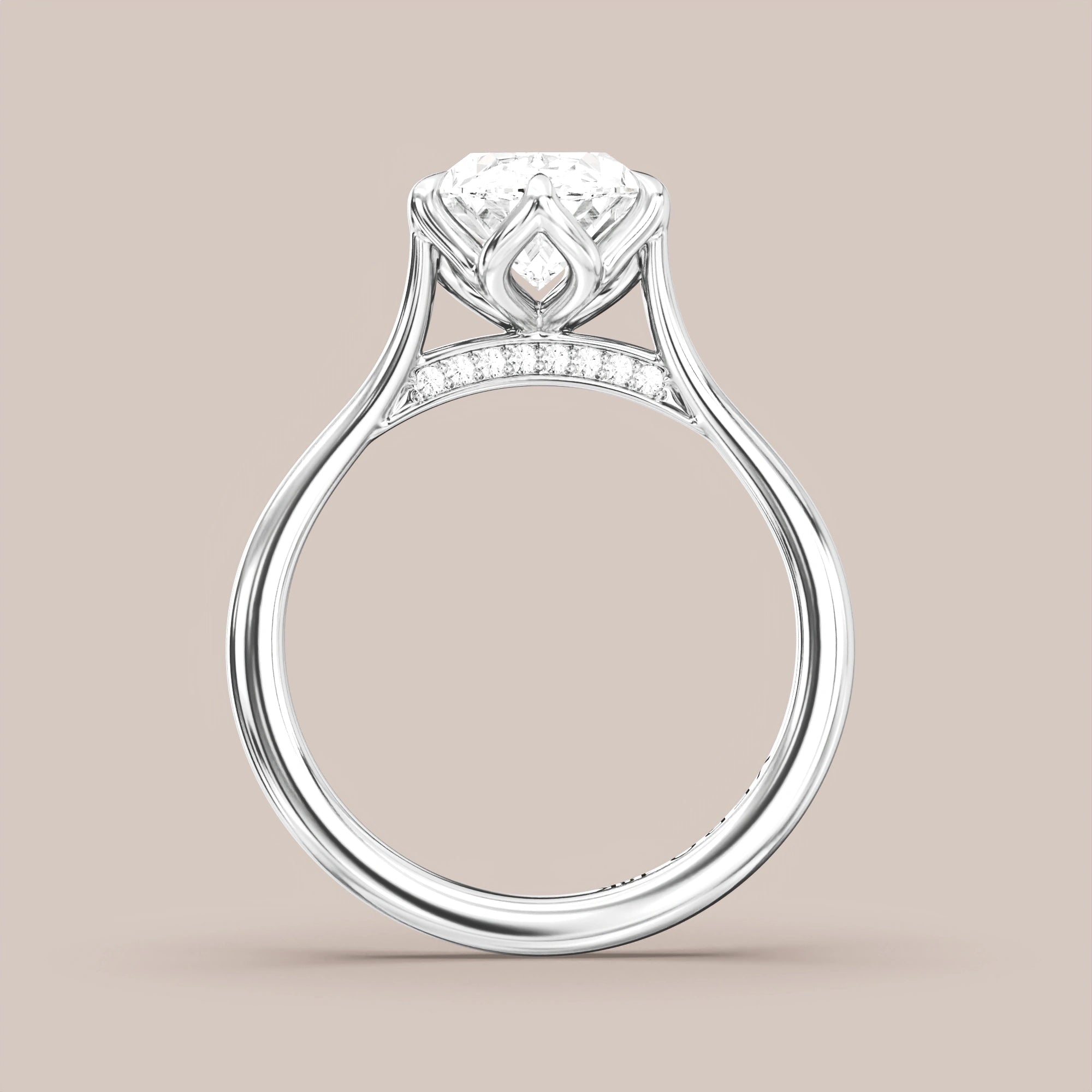 Oval - White gold