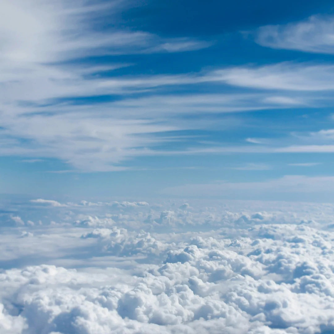 Wherever You Are, We're With You